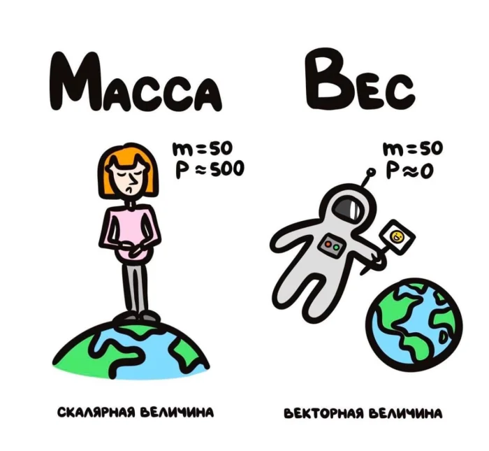 Слова, которые часто путают: в чём разница #17