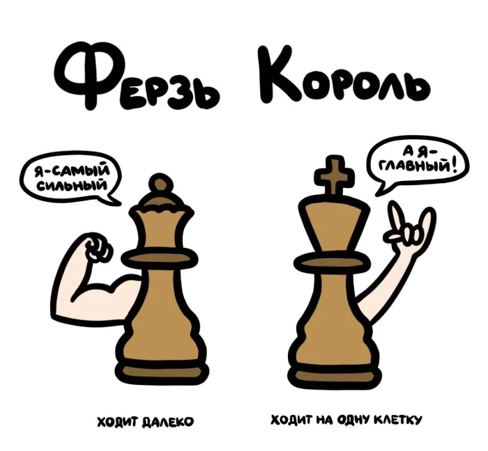 Слова, которые часто путают: в чём разница #23