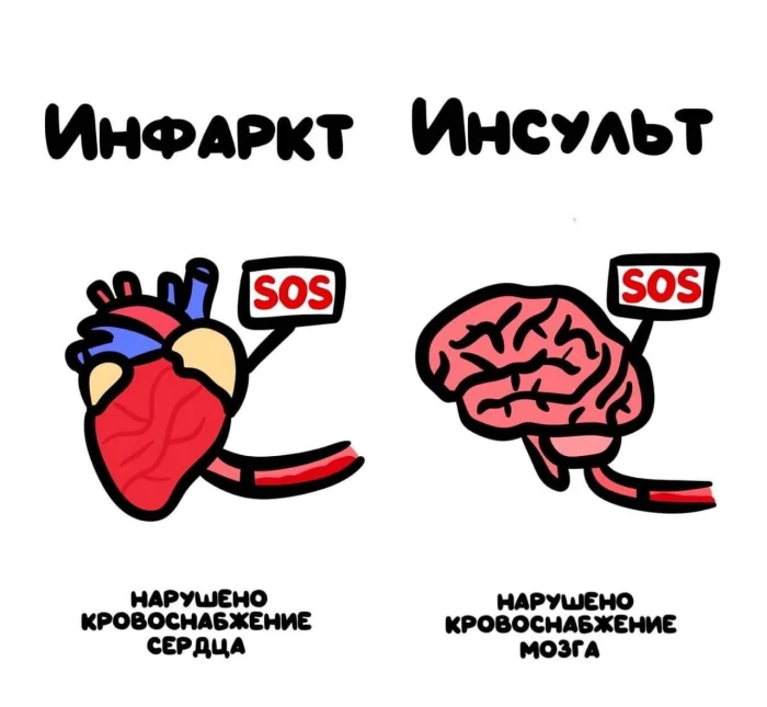 Слова, которые часто путают: в чём разница #27
