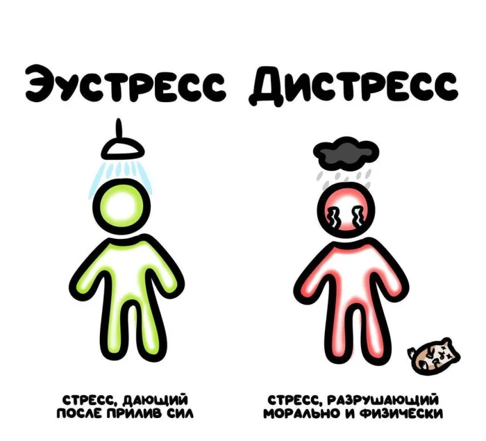 Слова, которые часто путают: в чём разница #30