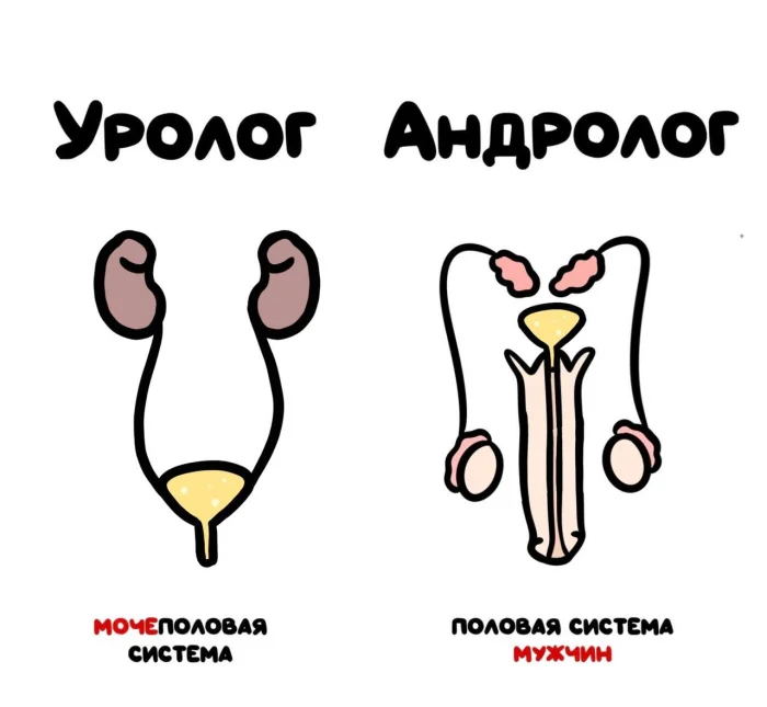 Слова, которые часто путают: в чём разница #7