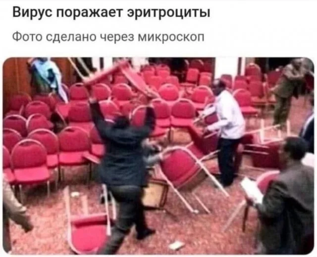 Смех без границ