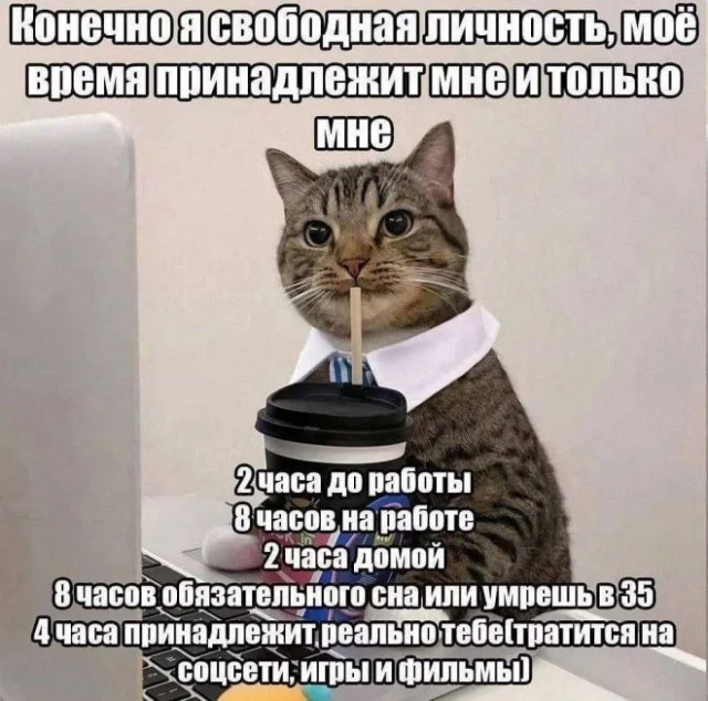 Смех без инструкции