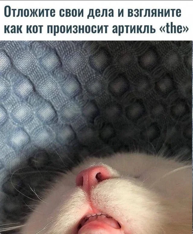 Смех и юмор