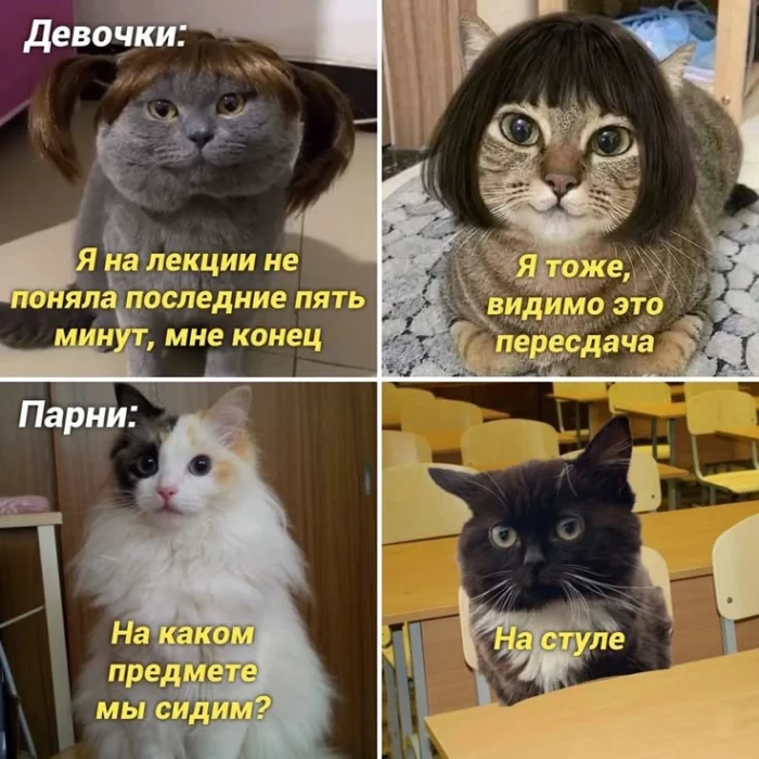 Смешные картинки