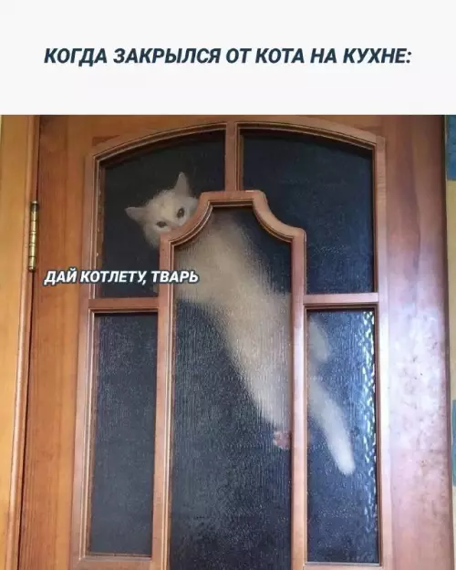 Смешные картинки и старые мемы