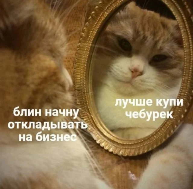 Твои любимые мемы здесь