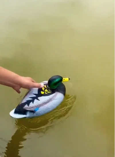 Ты где шлялся после работы?⁠