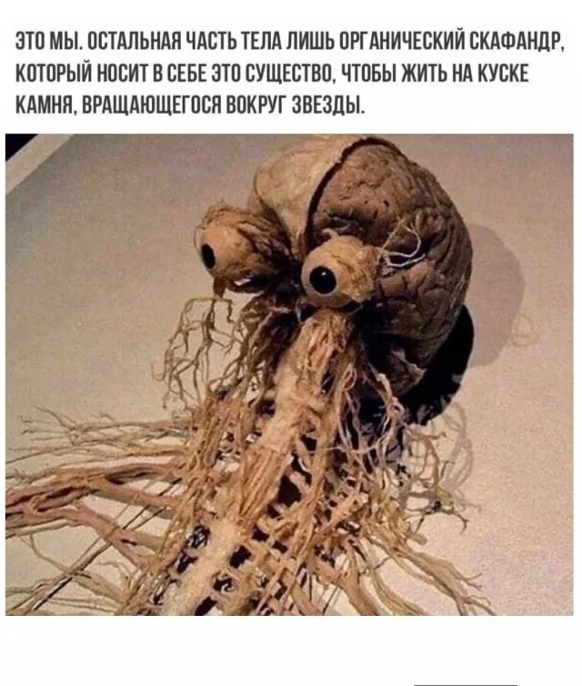 Улыбайся, тебе идет