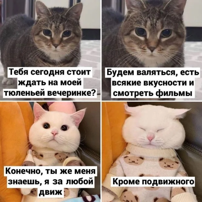 Весёлые картинки для отличного настроения