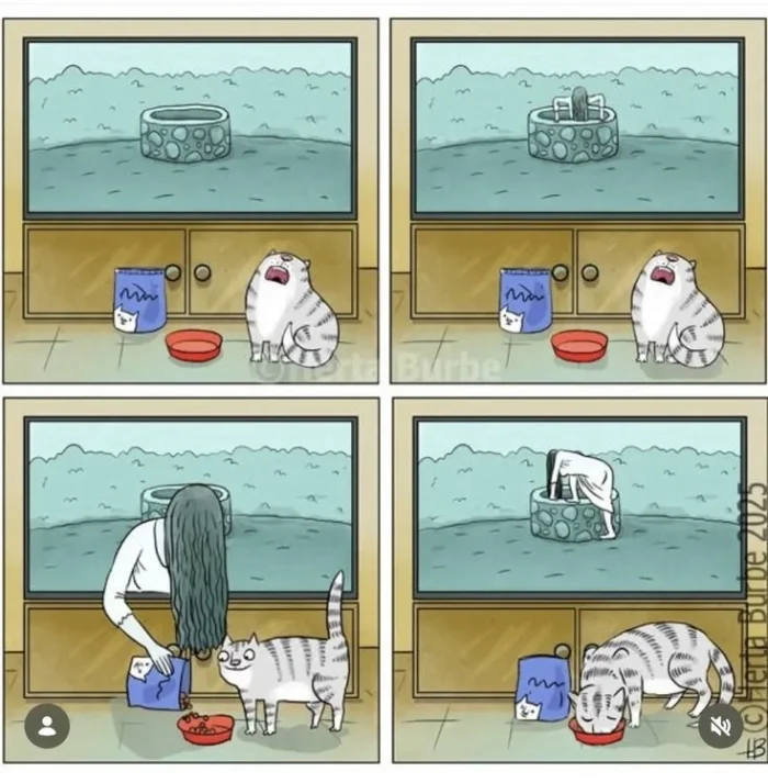 Весёлые картинки для отличного настроения