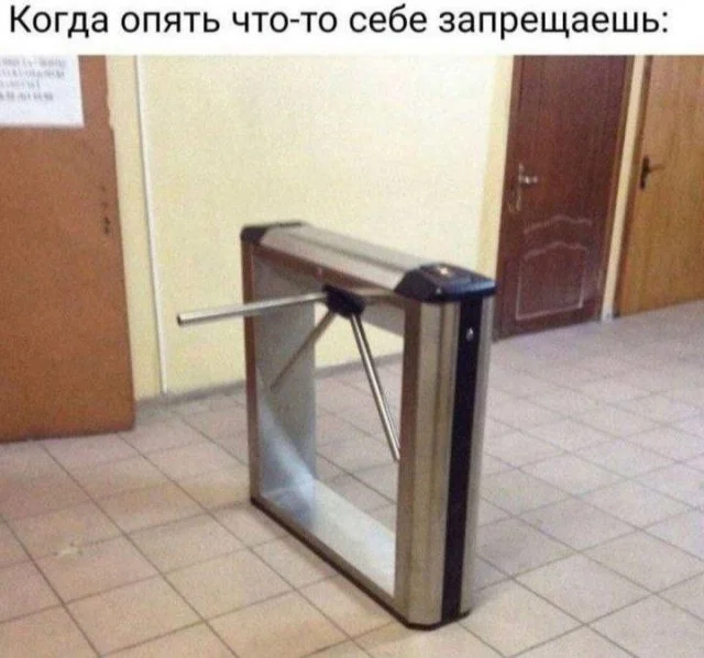 Вирусные шутки и мемы из интернета