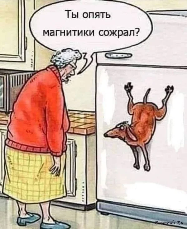 Забавности