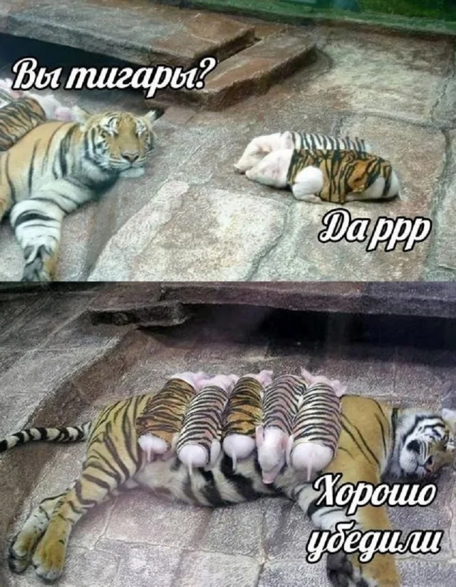 Забавности пост