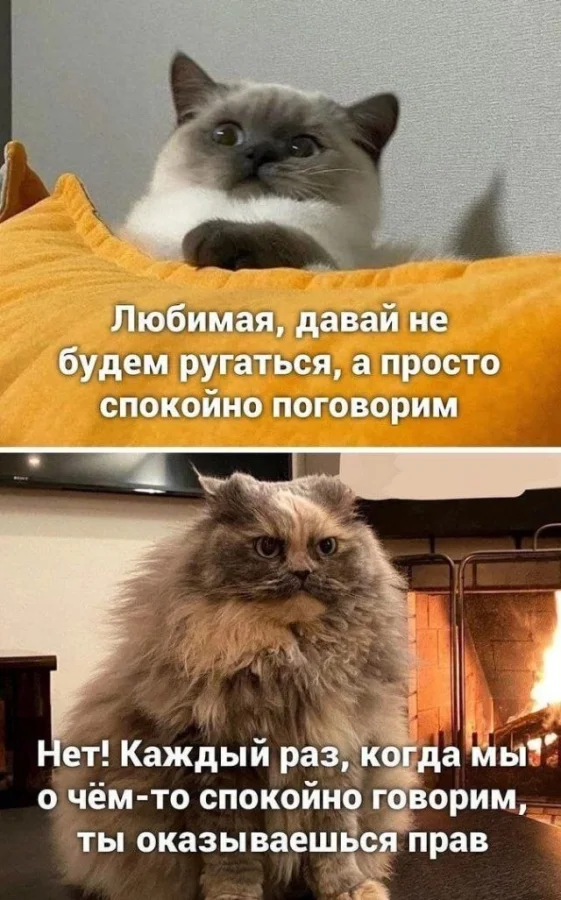 Забавные скрины из соцсетей