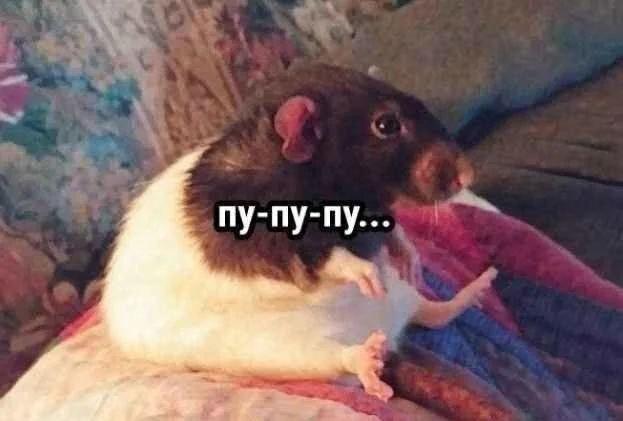 Заряжаемся смехом