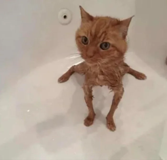 20 моментов, когда реальность умеет шутить