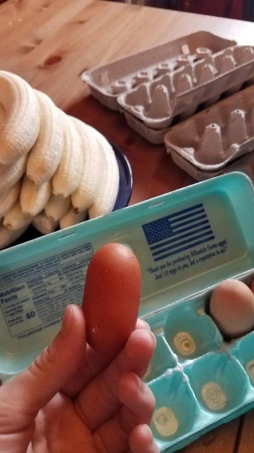 20 удивительных яиц с необычной формой и раскраской