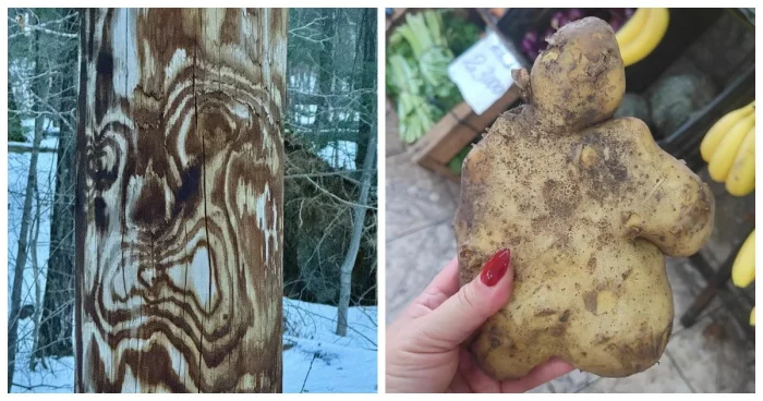 30 снимков, показывающих красоту обычных моментов