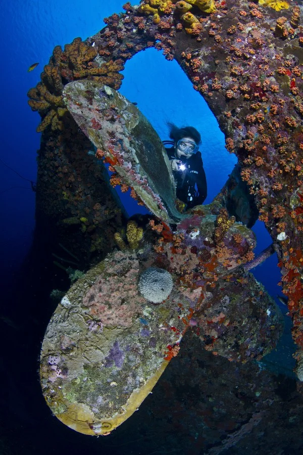 Что можно найти на морском дне?