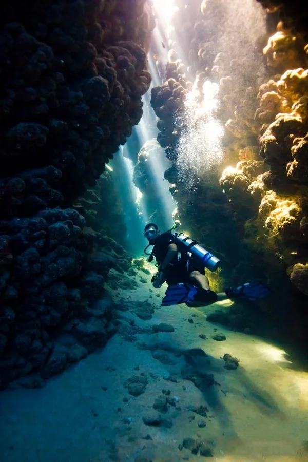 Что можно найти на морском дне?