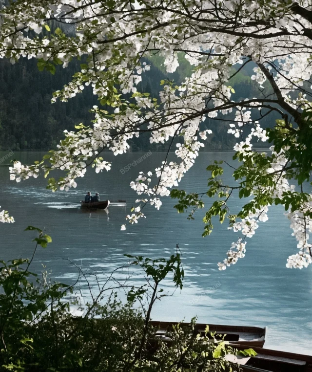 Душевные снимки советской эпохи