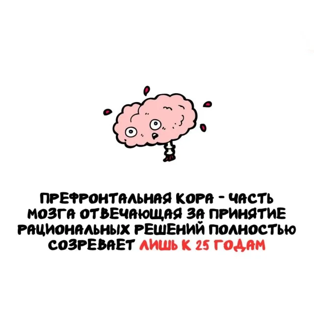 Факты для всех