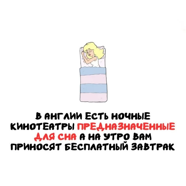 Факты для всех