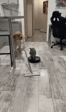 Гифки для настроения