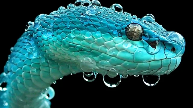 Интересные снимки, от которых захватывает дух