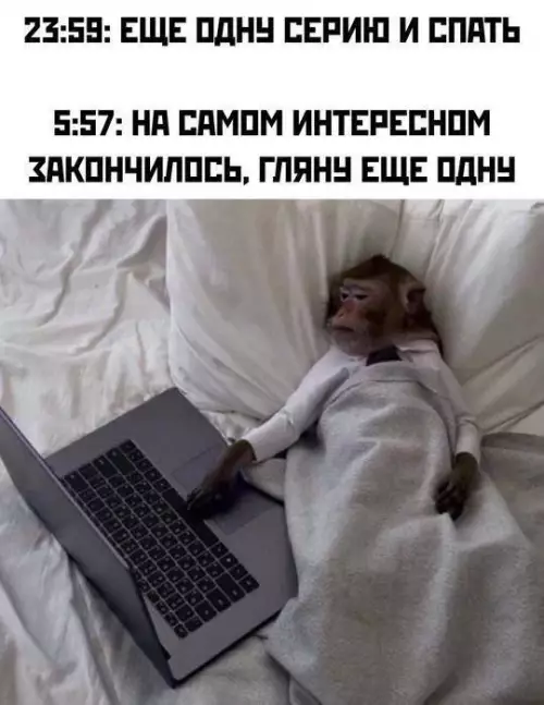 Интернет-мемы и приколы