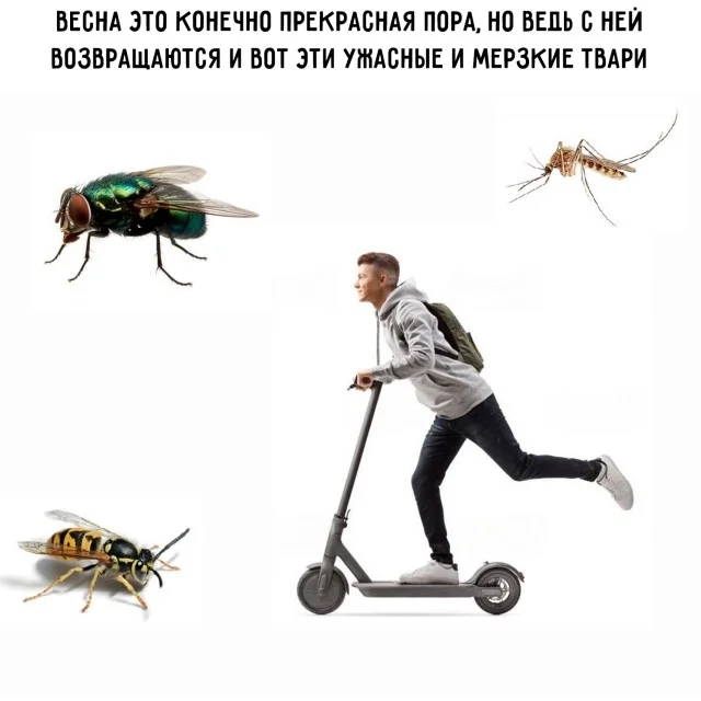 Изображения с разной степенью деградации