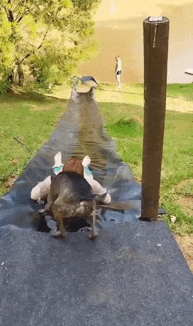 Эмоции в формате .gif