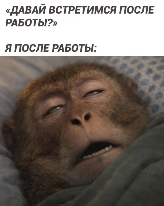 Юмористические картинки для настроения