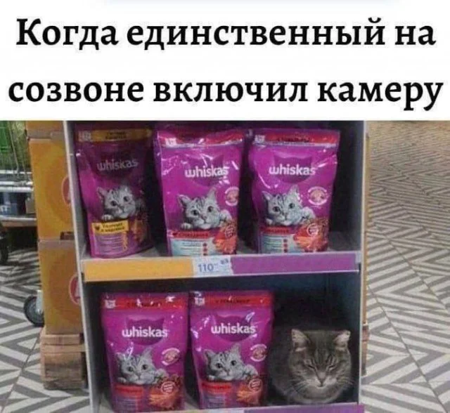 Картинки для смеха