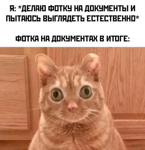 Картинки, от которых хочется смеяться