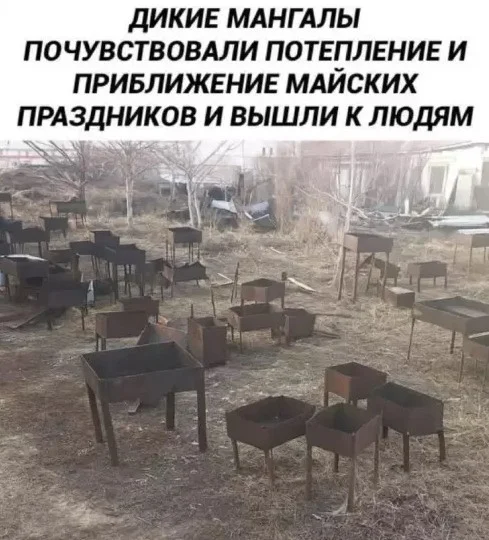 Картиночки и баянчики