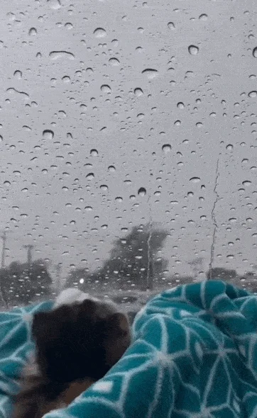 Коллекция гифок для любого настроения