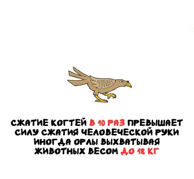 Коллекция необычных фактов на разные темы