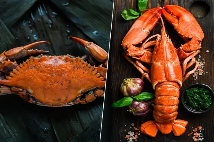 Лягушачий краб — необычный гибрид рака и краба