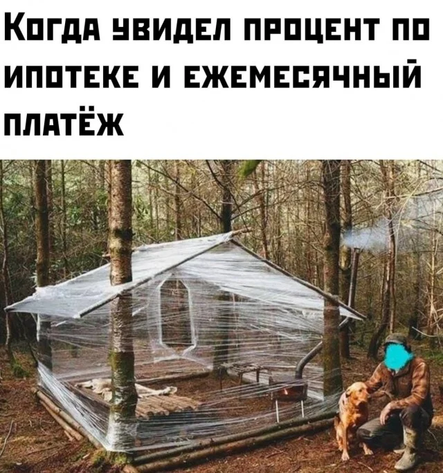 Лови настроение