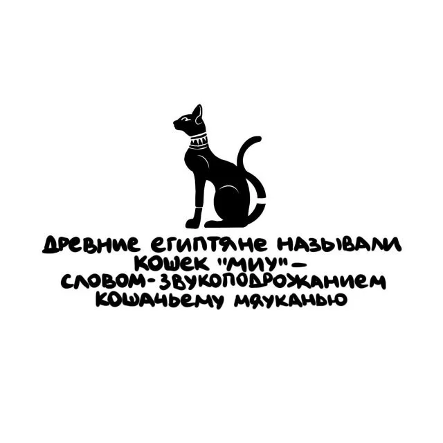 Мало кто знает, что…