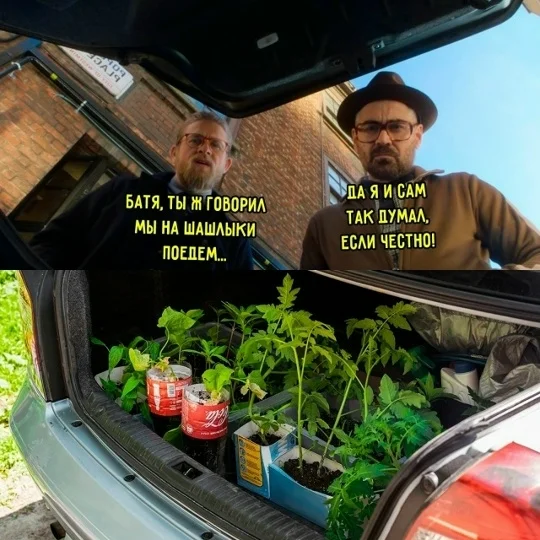 Мемы и картинки