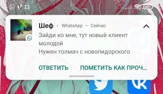 Мемы разной «свежести» и состояния