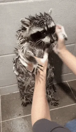 Моменты в гифах