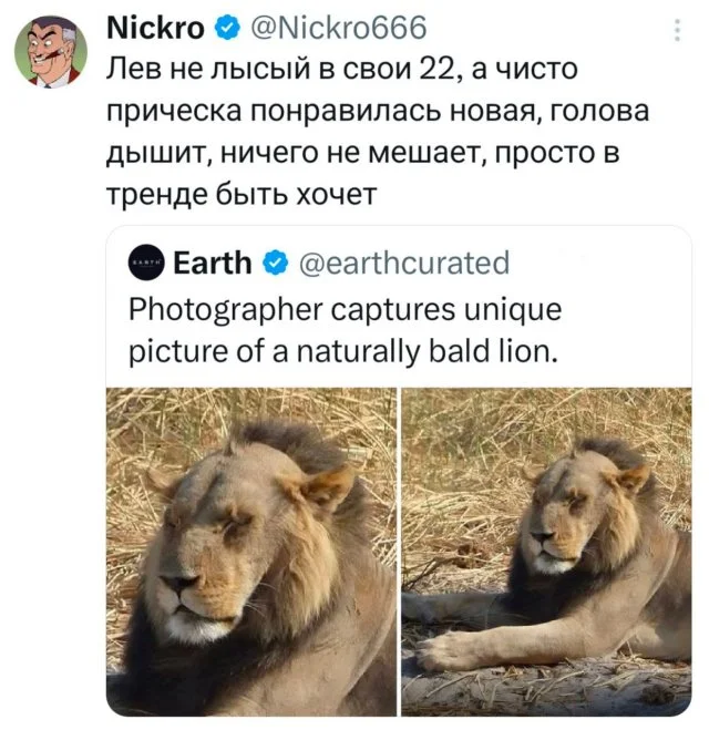 Немного смешного юмора