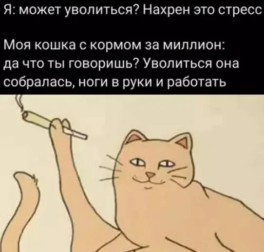 Подборка прикольных картинок