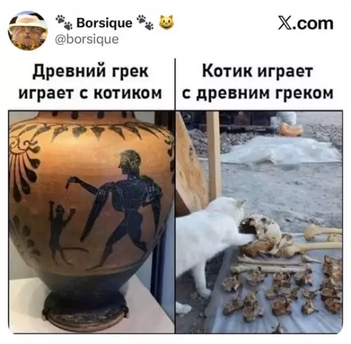 Подборка смешных картинок