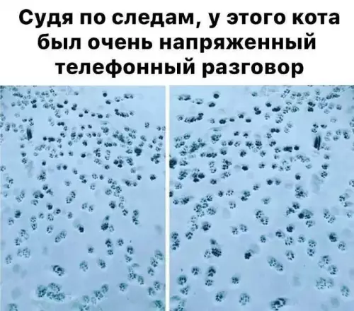 Подборка смешных картинок