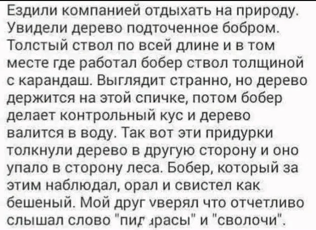 Приколы в картинках